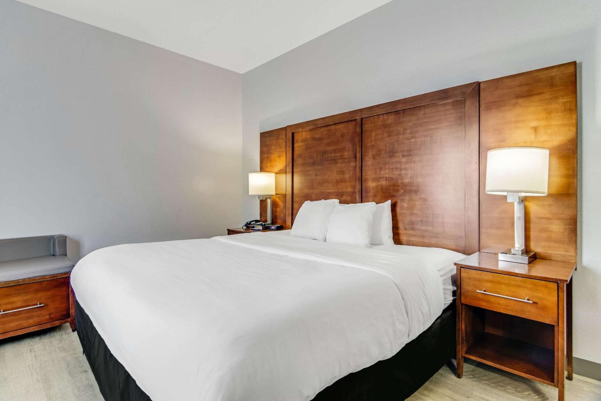 Comfort Near I-80 And I-94 Hotel Lansing
